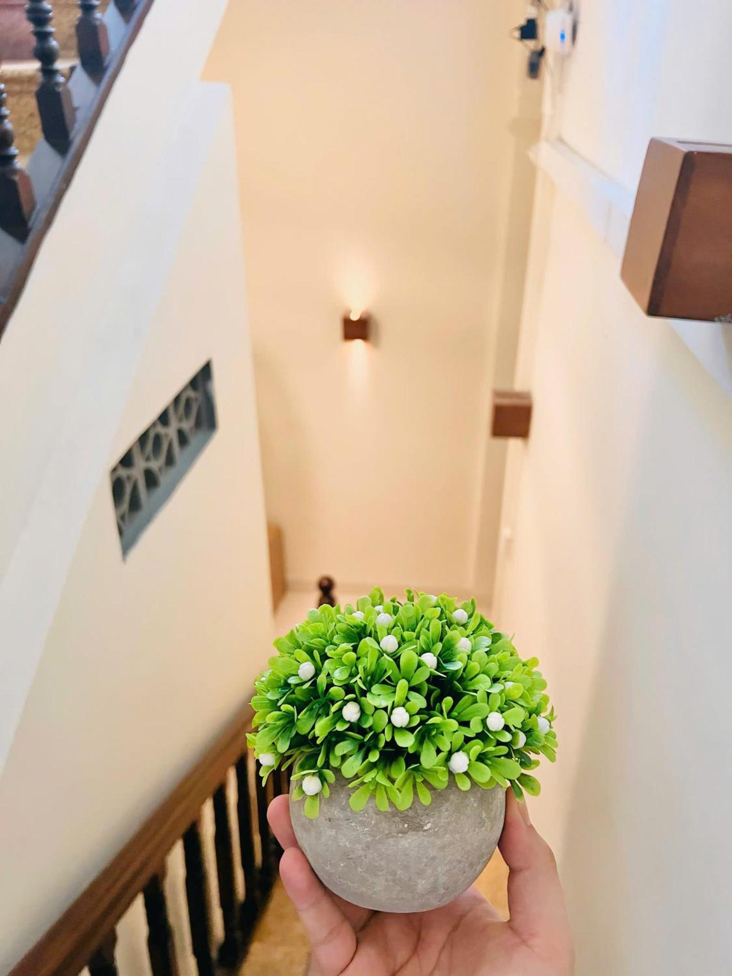 Amy 2 Hostel Huế Ngoại thất bức ảnh